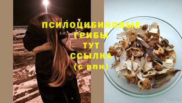 apvp Абинск